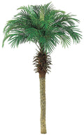 Pack of 2 Palm Tree W85427