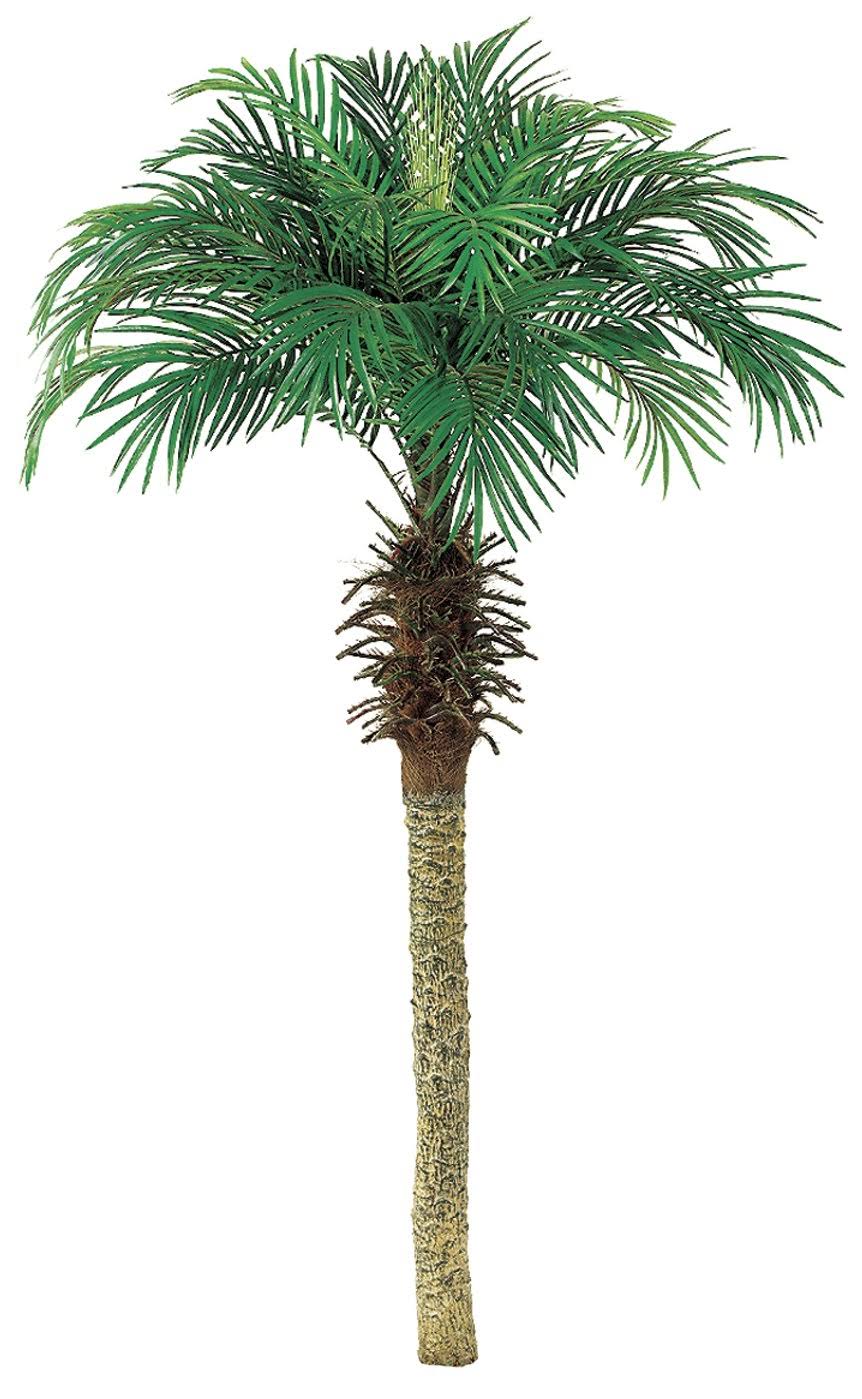 Pack of 2 Palm Tree W85427