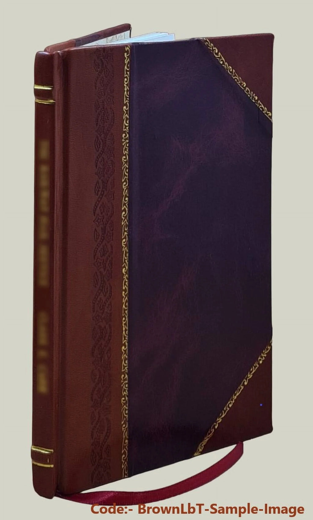 Christianity Faith and Practice Leather Bound Y62214