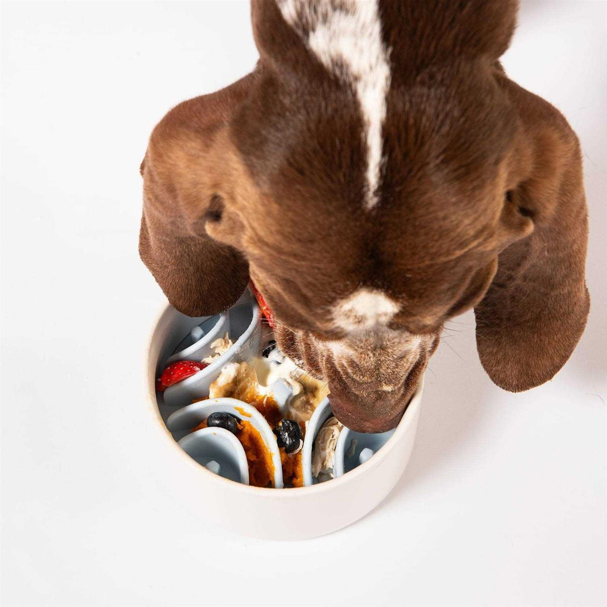 Silicone Dog Feeding Mat W468