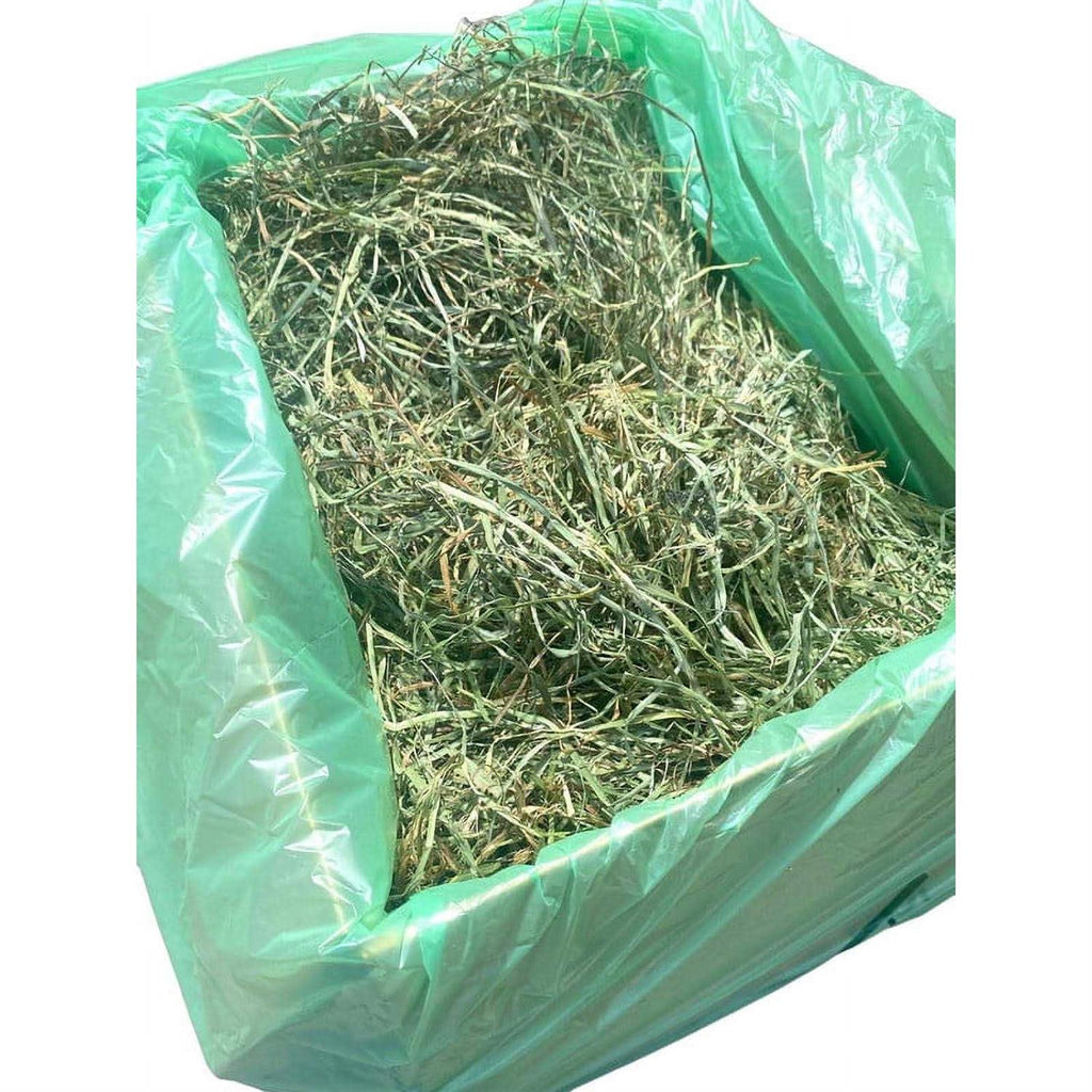 Timothy Hay Small Pet Food B46292