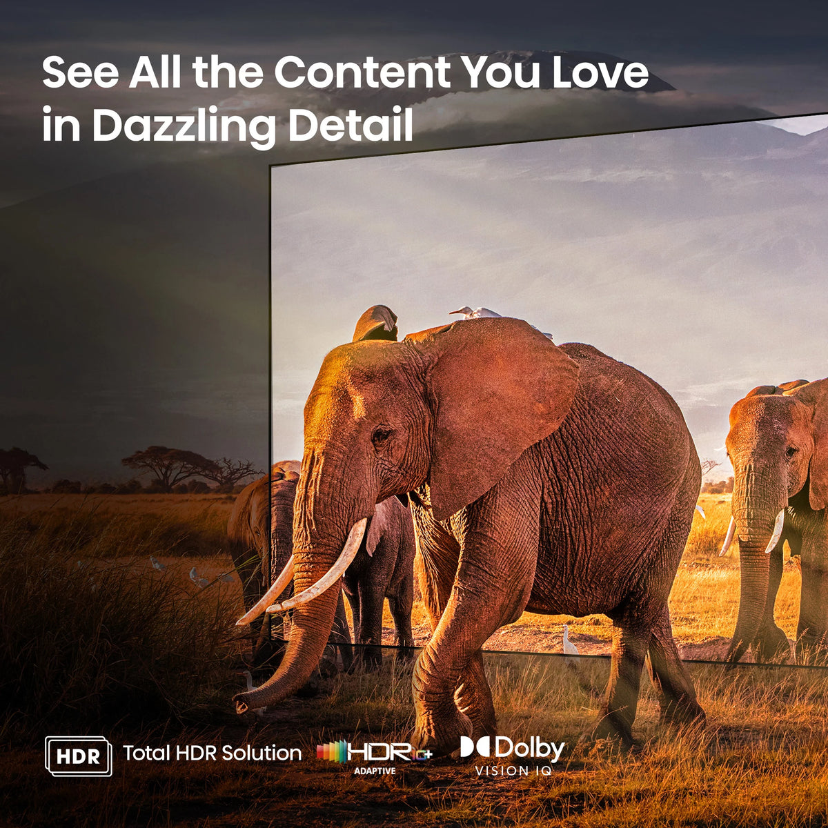 85" Mini-LED ULED 4K UHD Google Smart TV, QLED, Native 144Hz, 1000-Nit, Dolby Vision IQ, Full Array Local Dimming S684