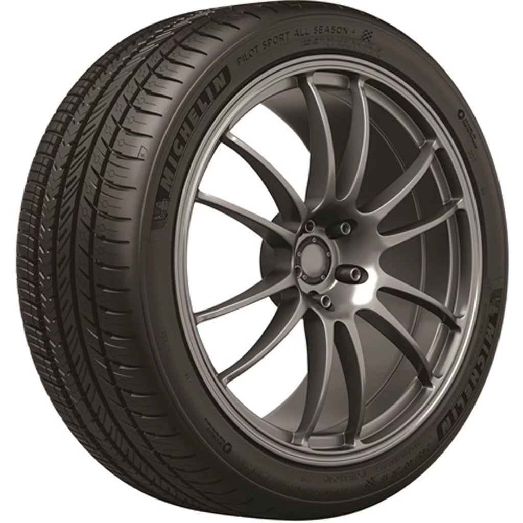 All Season Passenger Tire G8173