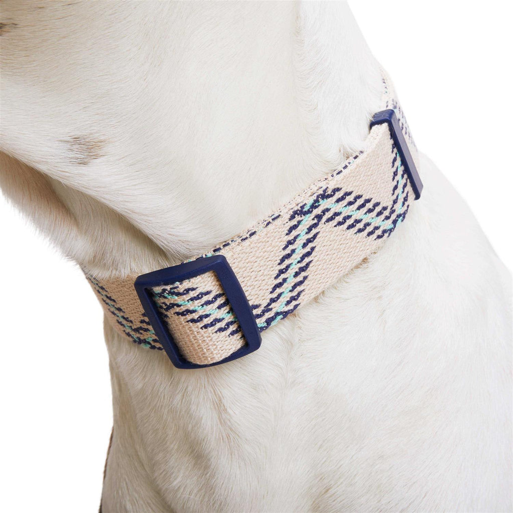 Zig Zag Dog Collar Y1092