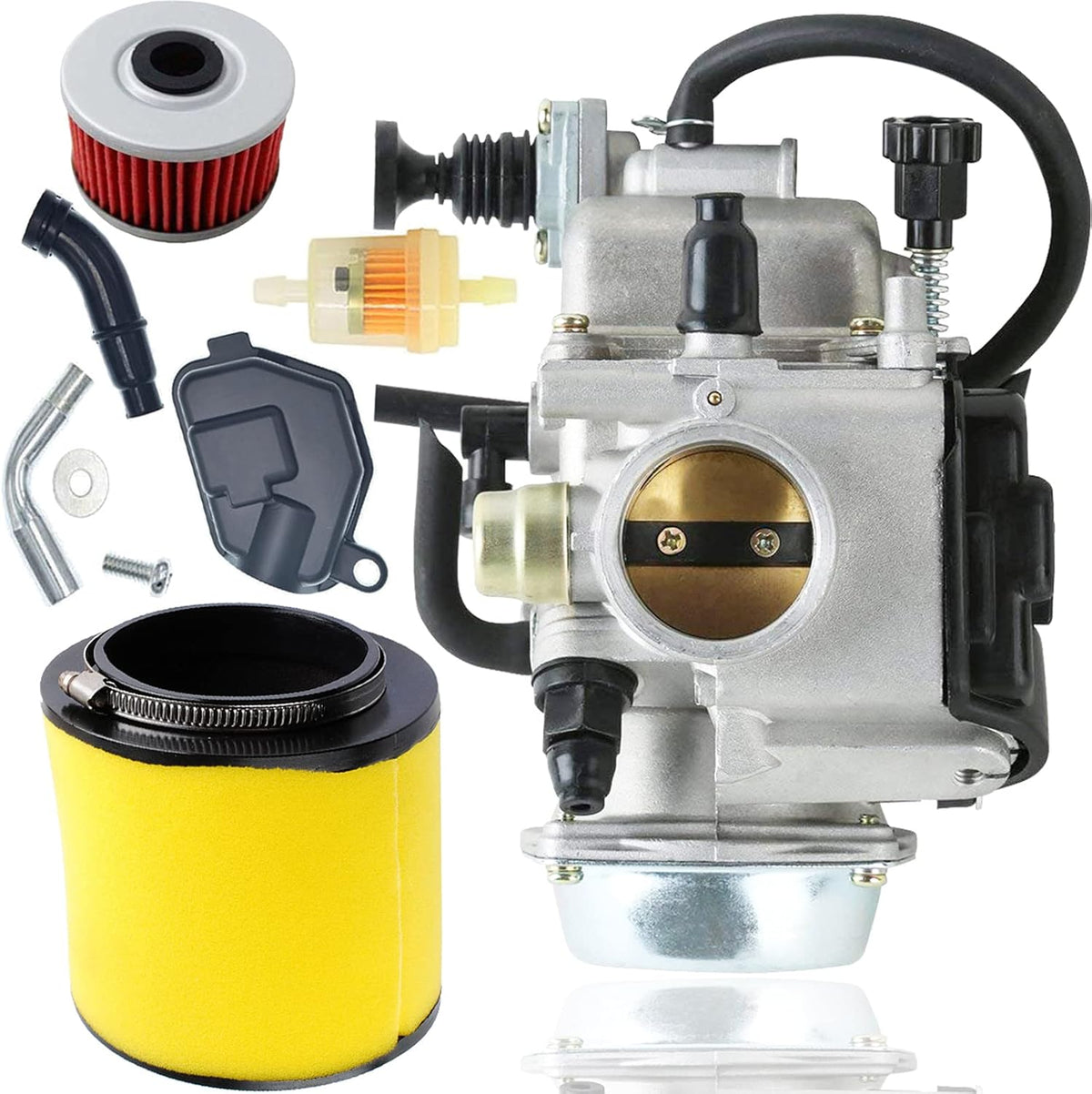 Carburetor with Oil Filter and Air Filter, Pack of 2 P9228