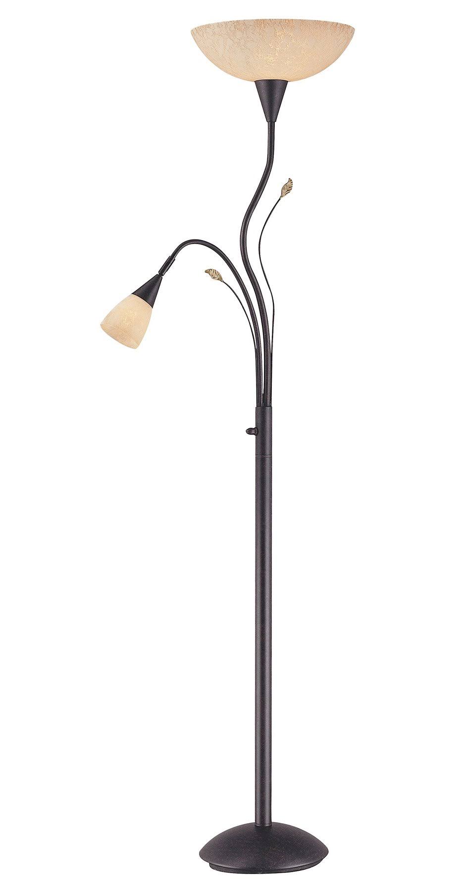 Torch/Reading Lamp R274992