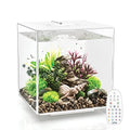 Black Acrylic 8-Gallon Aquarium with LED Lights S186