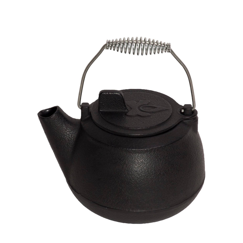 Cast Iron Teapot W999751
