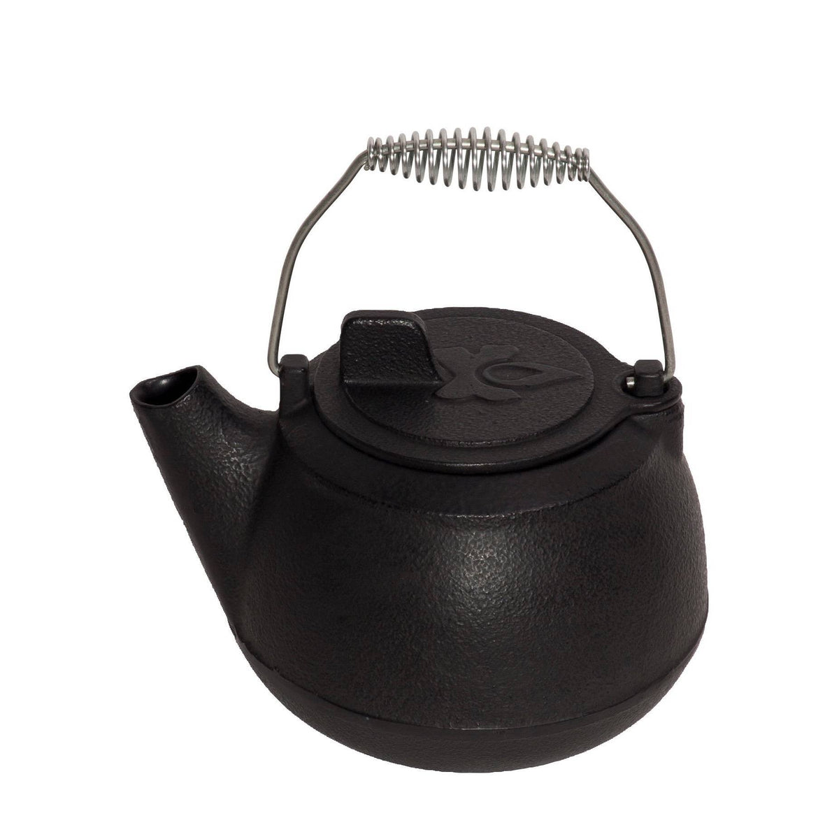 Cast Iron Teapot W999751