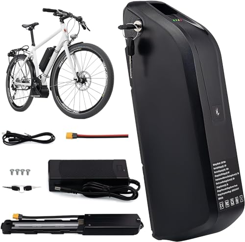 36V 10Ah Lithium Ebike Battery with 2A Charger V7431