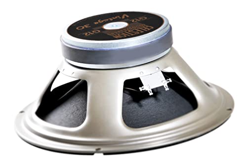 16 Ohm Black Guitar Speaker Z305