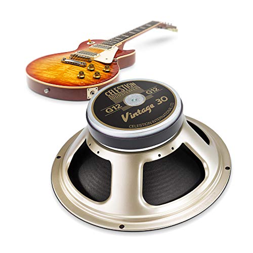 16 Ohm Black Guitar Speaker Z305