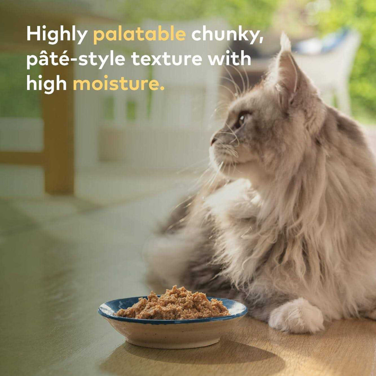 Chicken Recipe Canned Cat Food Y2417