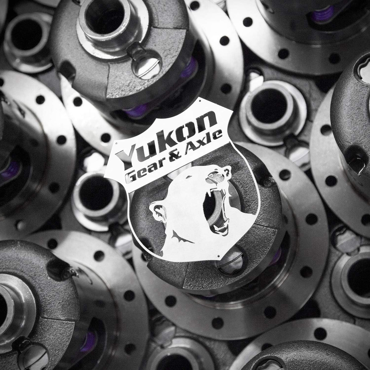 Duragrip Differential for Ford 9" with 31 Spline Axle W353