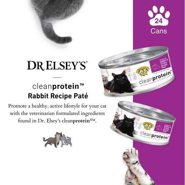 Wet Cat Food K5048