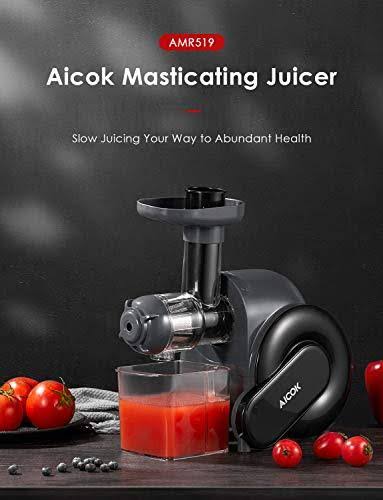 Slow Masticating Juicer I977