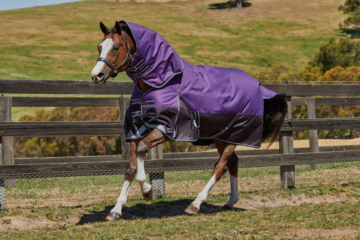 Purple Black Lite Detach-A-Neck S57056