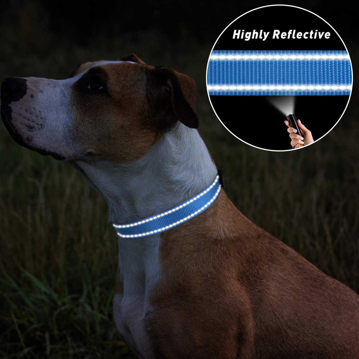 Reflective Nylon Adjustable Dog Collar with Quick Release Buckle F676