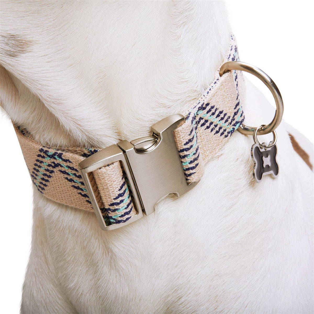Zig Zag Dog Collar Y1092
