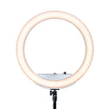 18x22 Ring Light with Stand, Battery Powered, Portable Y665