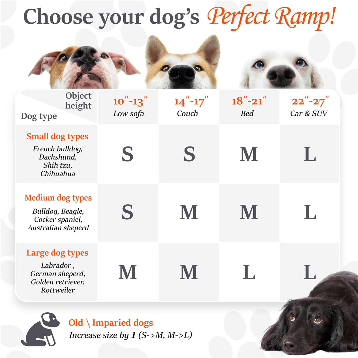 Dog Ramp B252340