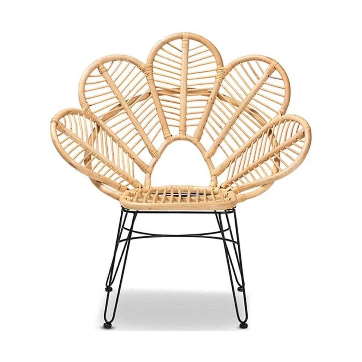 Natural Brown Rattan and Black Metal Accent Chair N6790