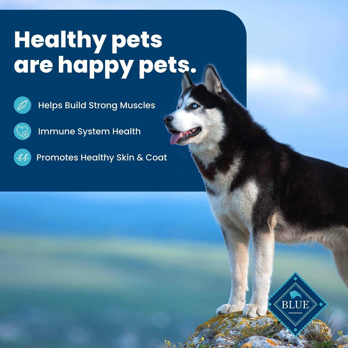 Adult Dry Dog Food B665