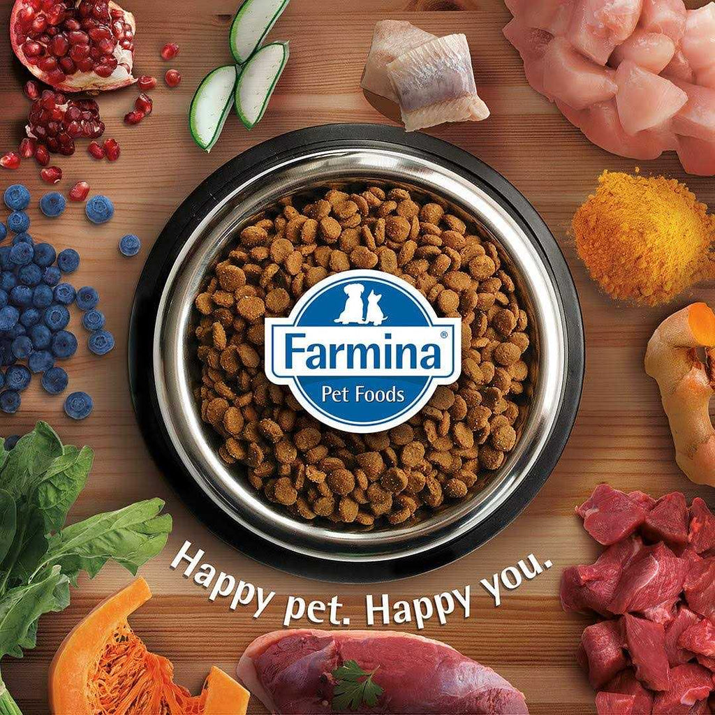 Grain Free Lamb & Blueberry Dry Cat Food E22911