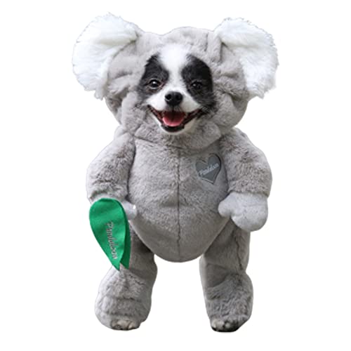Pet Costume with Arms for Small and Medium Dogs and Cats I43461