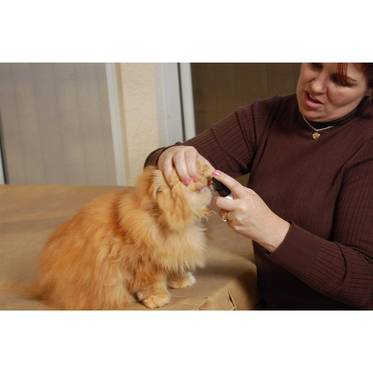 Pet Dental Spray P4130