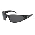Smoked Polarized Sunglasses U654616