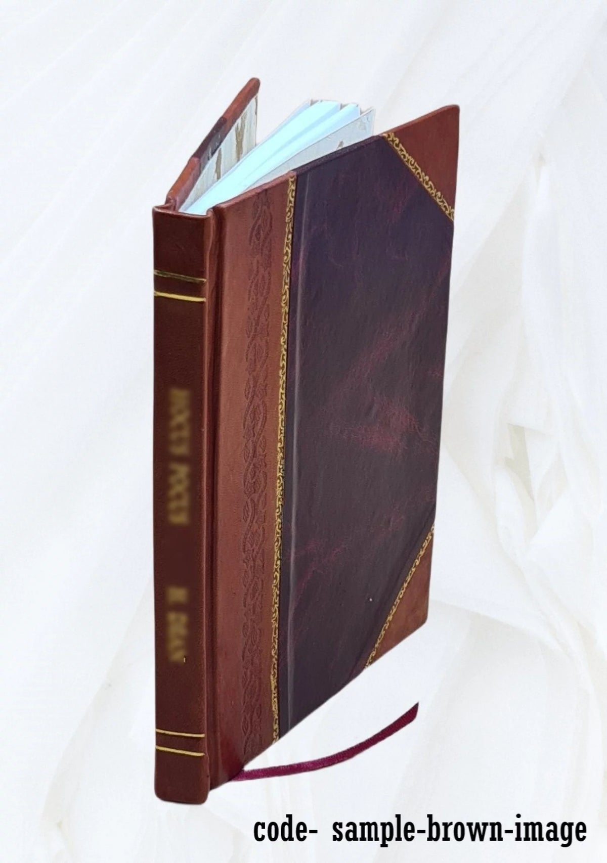 Leather Bound Book E45608