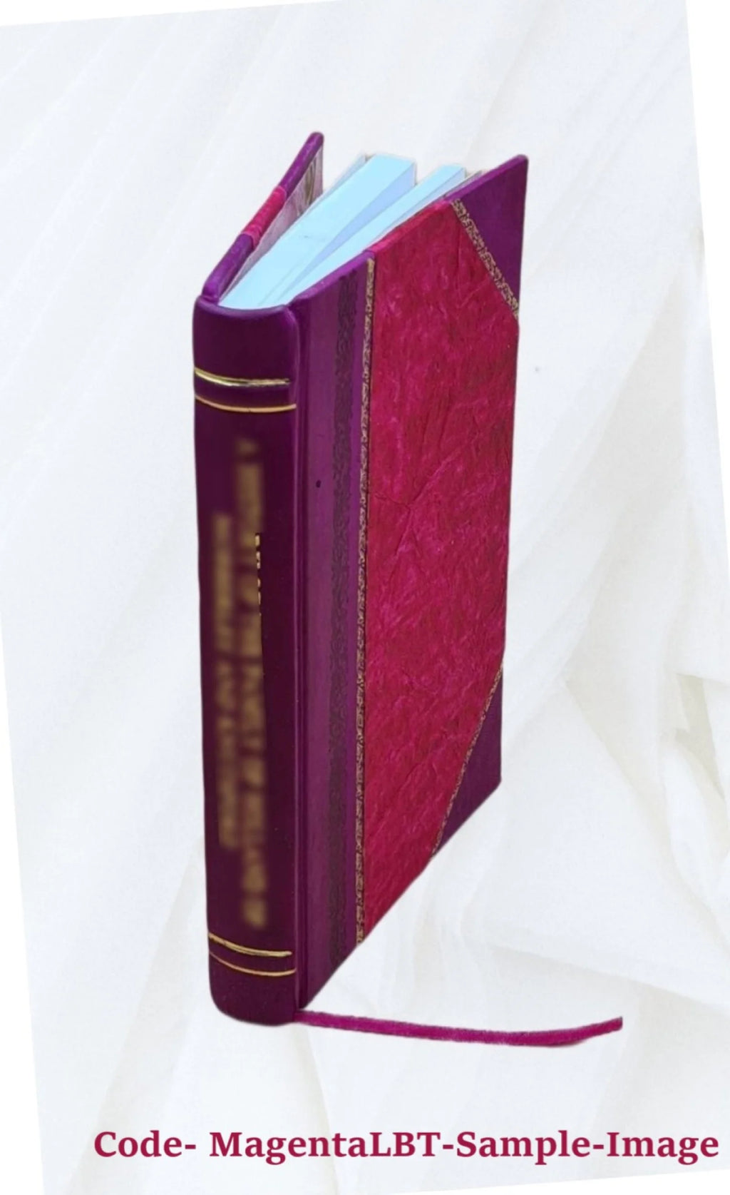 Christianity Faith and Practice Leather Bound Y62214