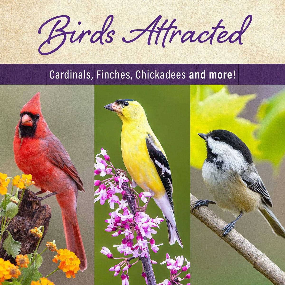 Wild Bird Food F844