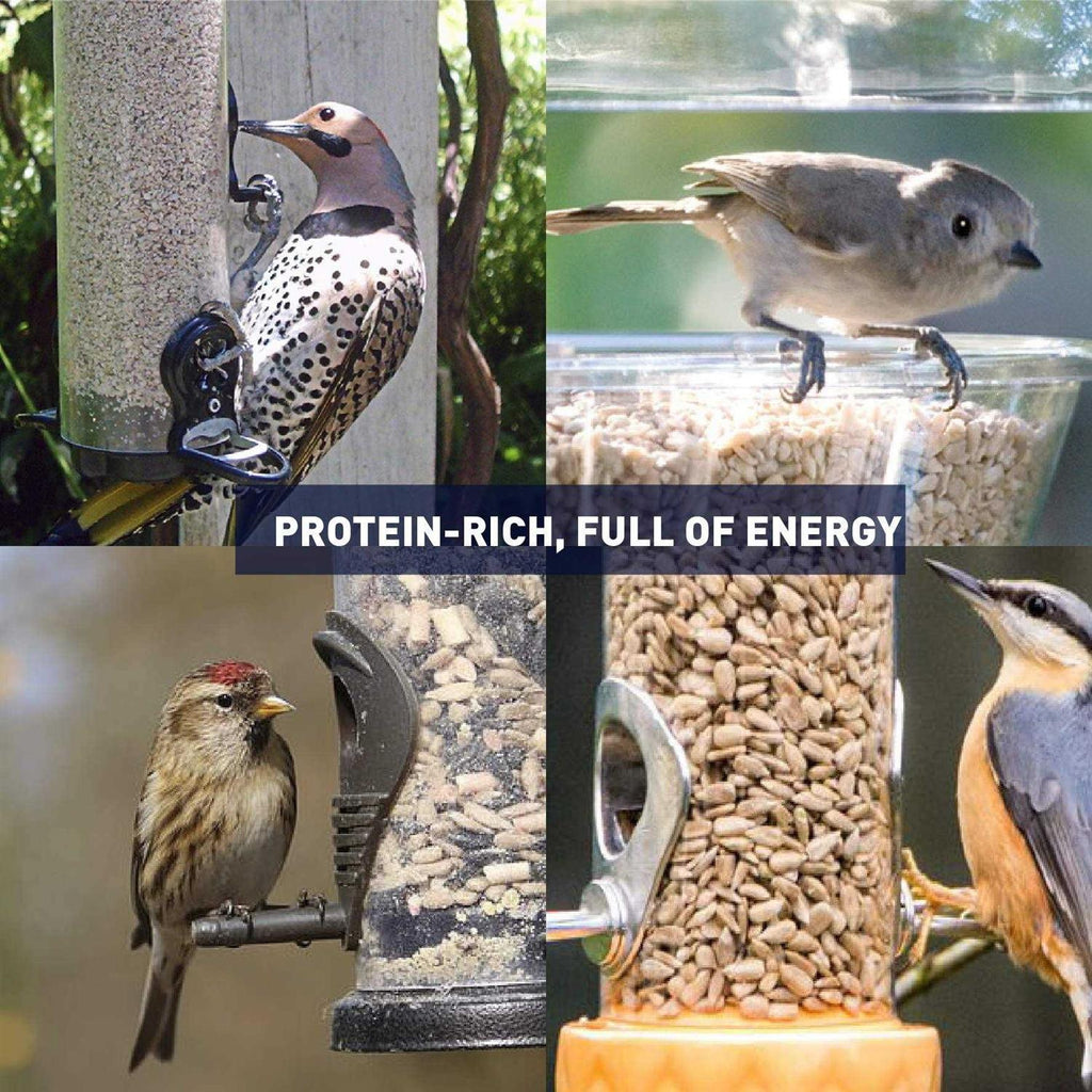Sunflower Kernels Wild Bird Food 50 lb U9031