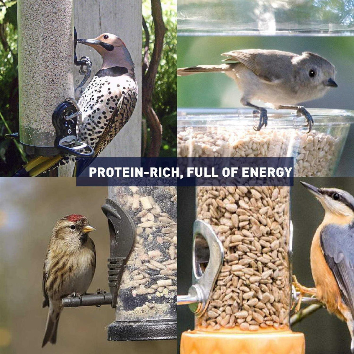 Sunflower Kernels Wild Bird Food 50 lb U9031