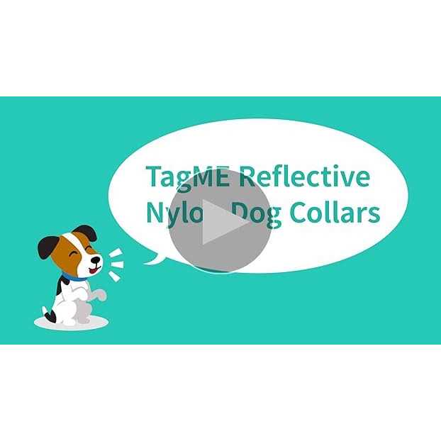 Reflective Nylon Adjustable Dog Collar with Quick Release Buckle F676