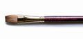 Long Handle 14 Full Flat Brushes D245