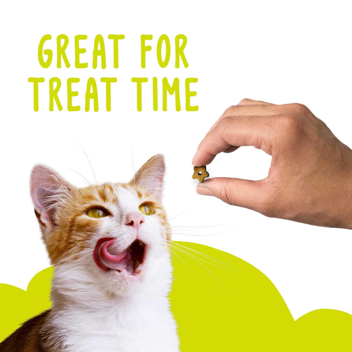Cat Treats K94123