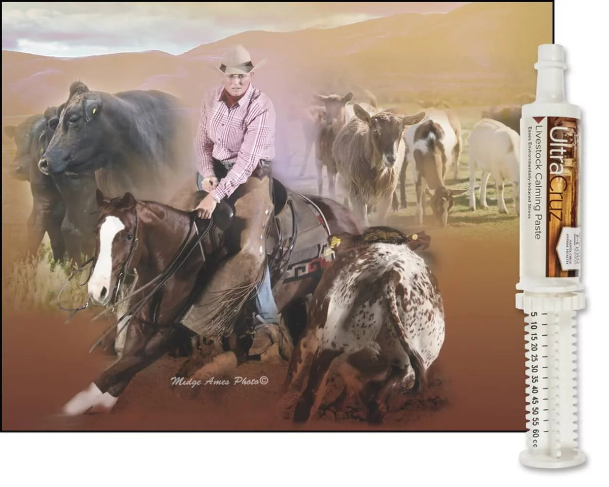 Livestock Calming Supplement 60 ml Paste 6/Pack U310423