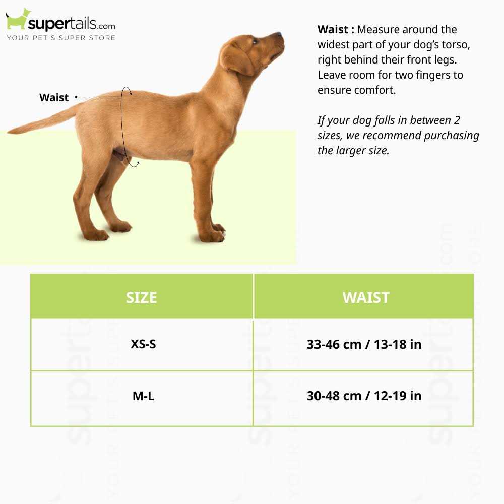 Disposable Male Dog Diapers D390939