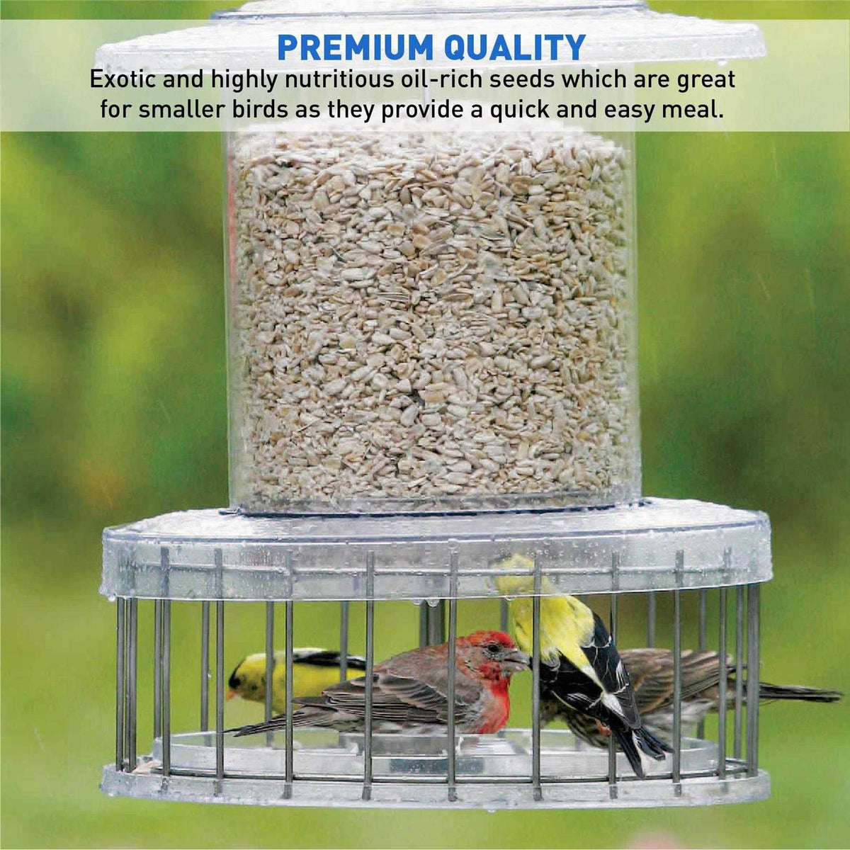 Sunflower Kernels Wild Bird Food 50 lb U9031