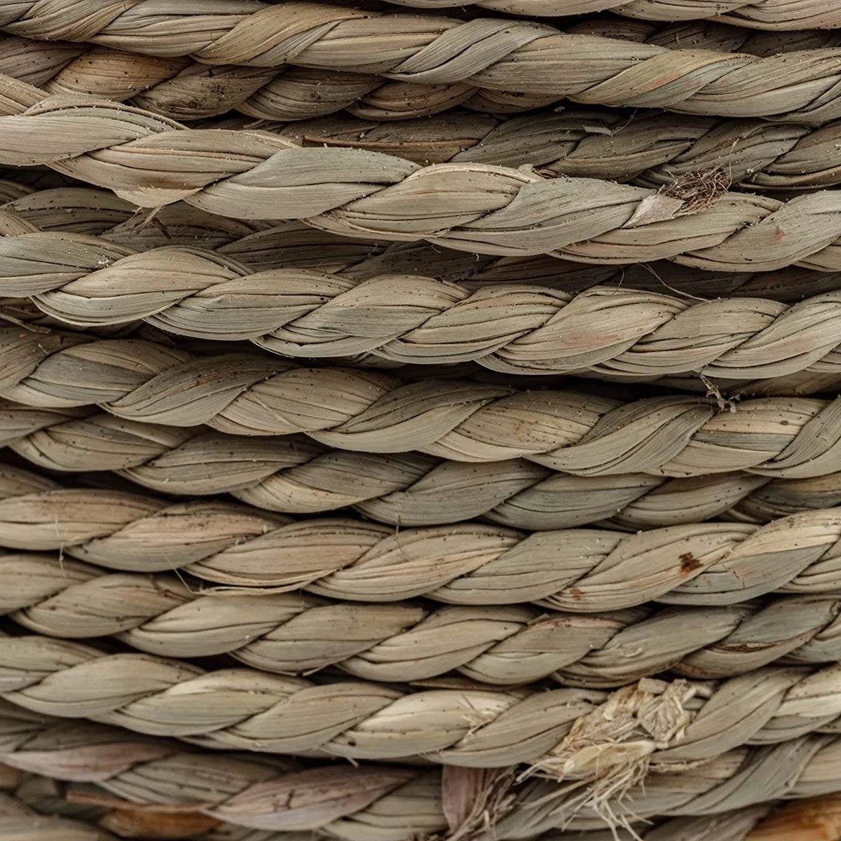 Seagrass Rope 1 Pound Coil T159