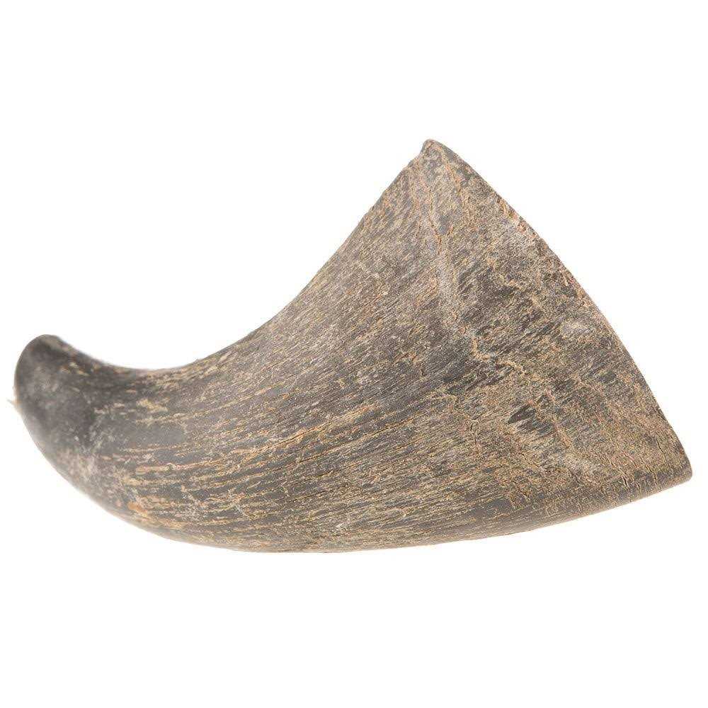 Dog Water Buffalo Horn Small A11585