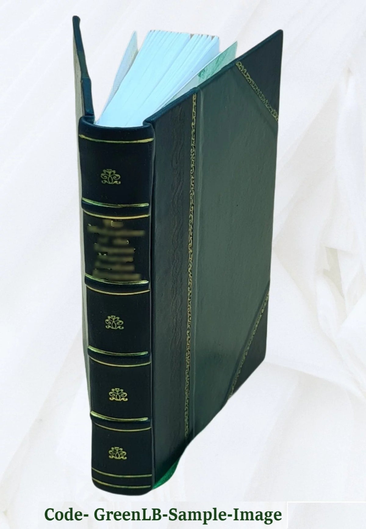 Leather Bound Book C900165