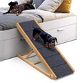 Dog Ramp B252340