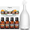 Organic Essential Oils Set 15ML White Ceramic Diffuser G968