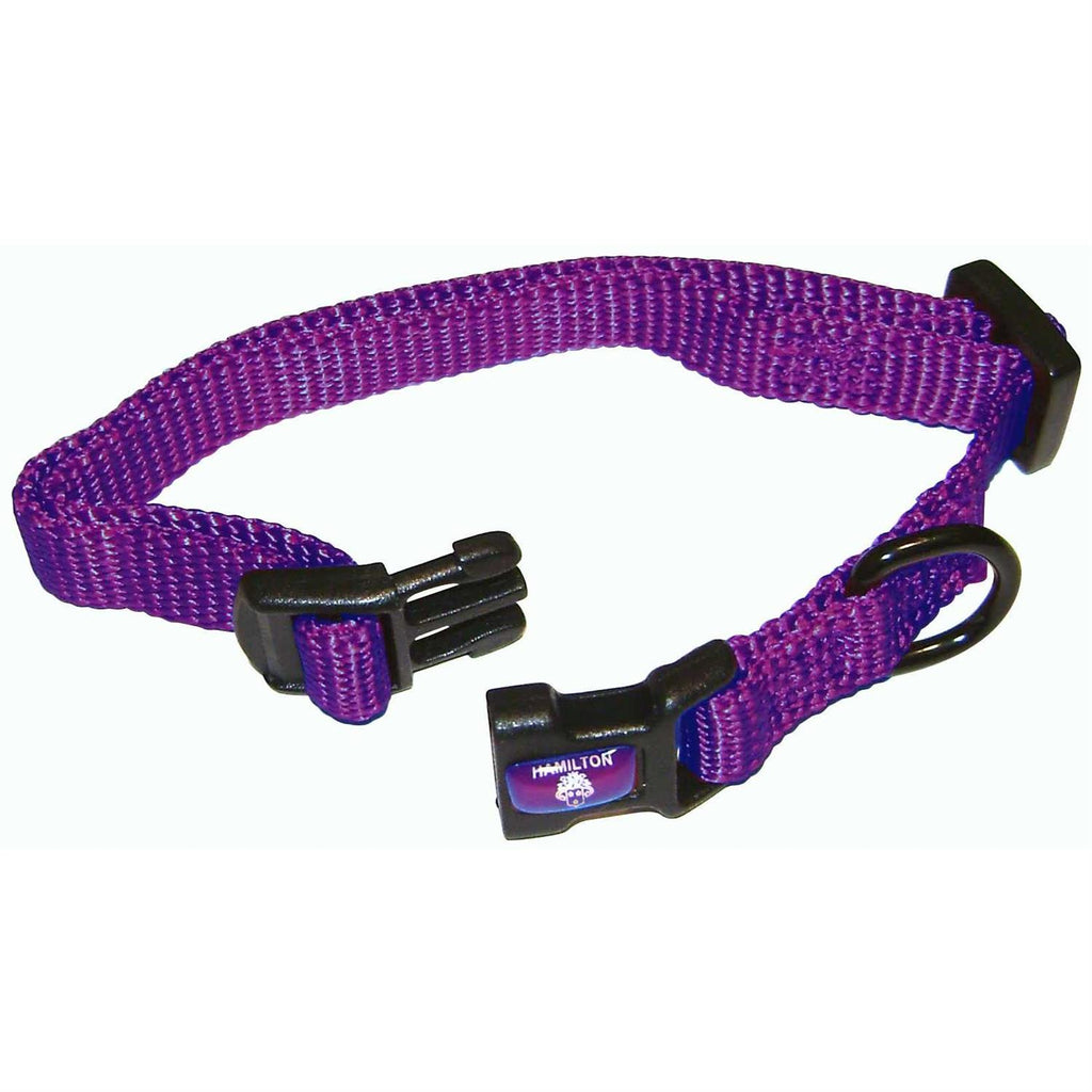 Adjustable Dog Collar K5164